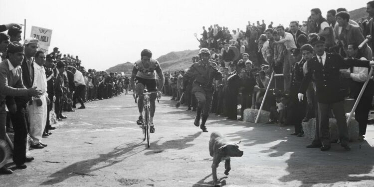 Priča o psu, biciklisti i policajcu – Giro d’Italia 1967